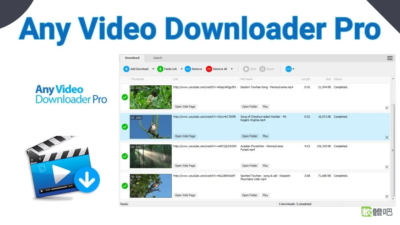 Any Video Downloader Pro 10.4.8 多國語言免安裝