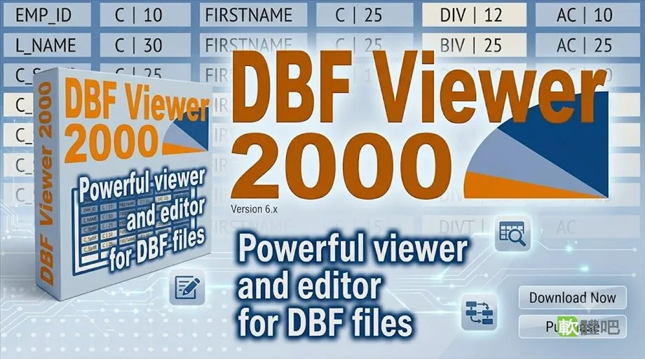 DBF Viewer 2000 9.27 免安裝