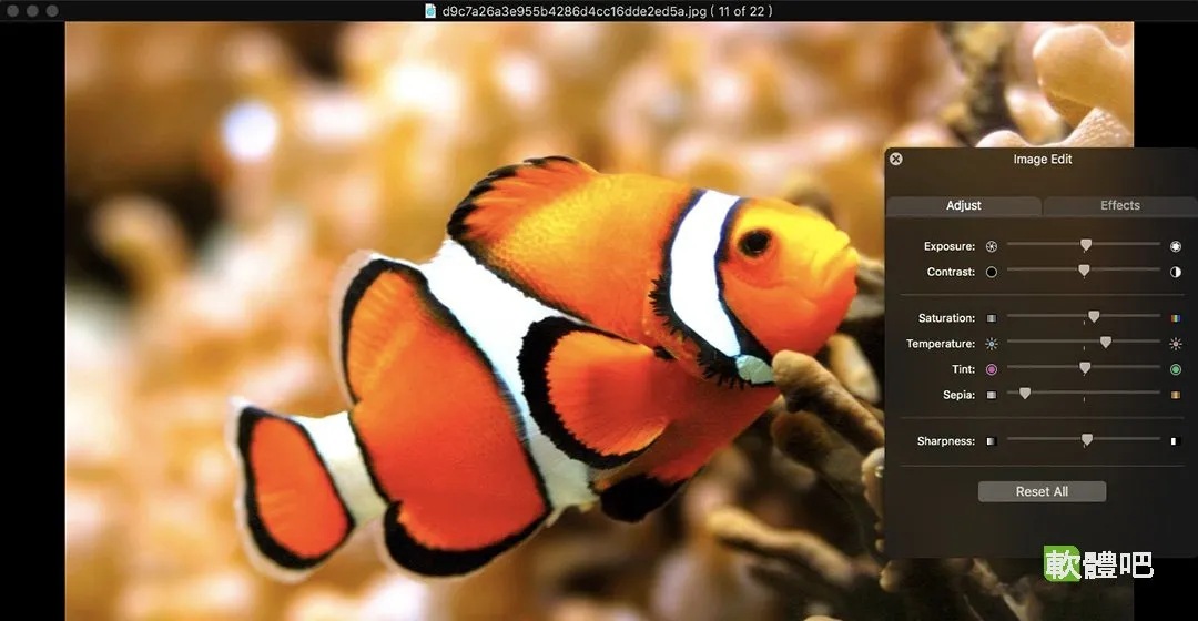 WidsMob WebP 1.3.0.80 多國語言中文免安裝